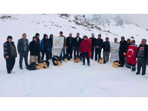 Berit Dağı’nda yaban hayvanlarına yem