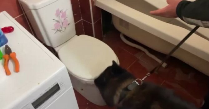 Suç makinesi uyuşturucu tacirlerine operasyon