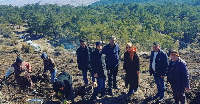 Fidanlar toprakla buluştu