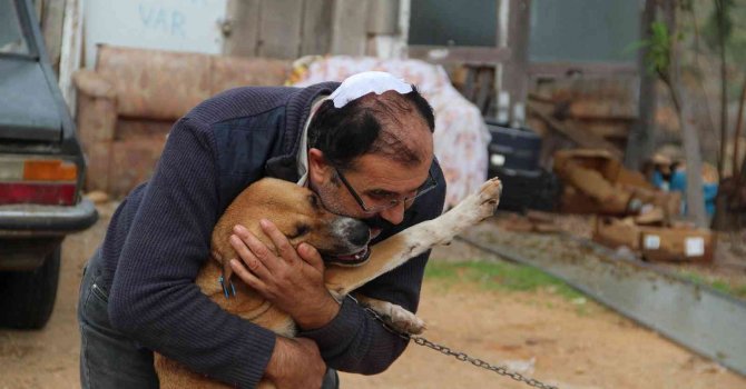 Antalya’da köpek kulübesinin yıkıldığı iddiası baltalı kavgaya döndü