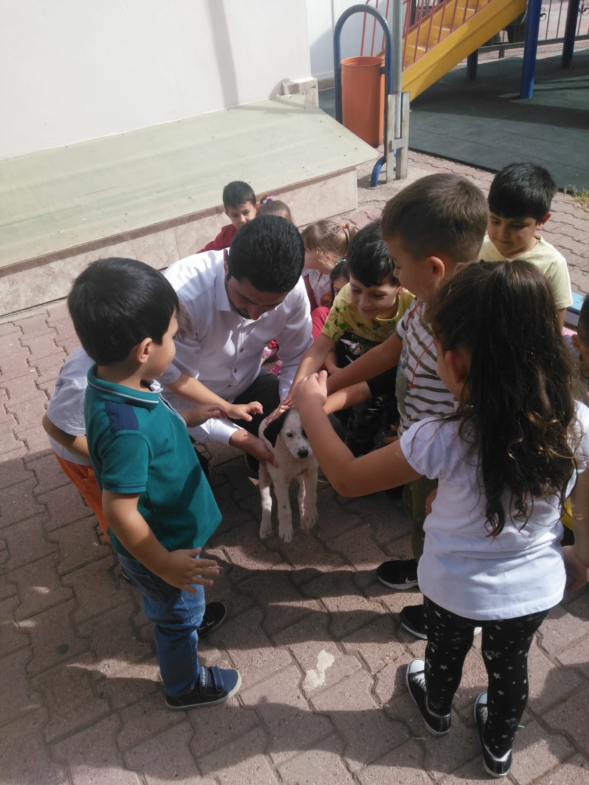 Öğrencilere Hayvan Sevgisi Anlatıldı