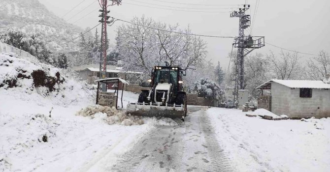 Hatay’da kar yağışı nedeniyle ahır çöktü, 10 hayvan telef oldu
