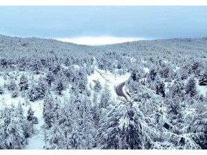 Mersin’in Gülnar ilçesinde eğitime ara verildi