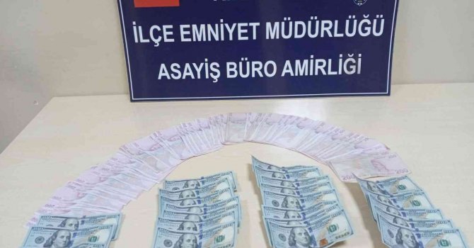 Çelik kasadan 20 bin TL ve 10 bin dolar para çalan hırsızlar yakalandı