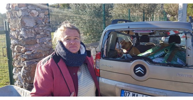 Hayvansever Alman kadının içinde köpeği bulunan aracını sopalar ve taşlarla parçaladılar
