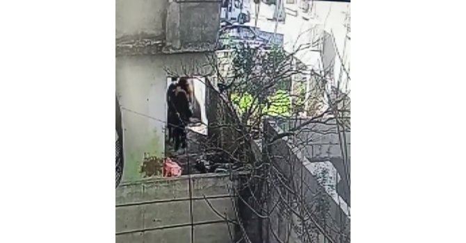 Hatay’da hırsızlık çetesine 3 tutuklama