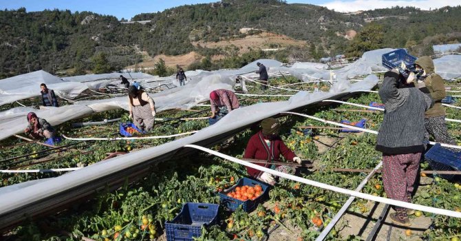 Antalya’da seraları bu defa poyraz fırtınası vurdu