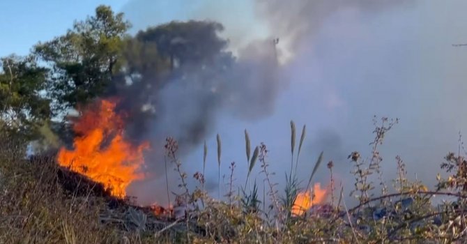 Ormanlık alan yakınında bulunan çöplükten çıkan dumanlar panik oluşturdu