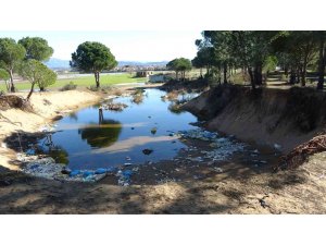 Antalya’da kum hırsızları çevre katliamına sebep oluyor