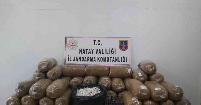 Hatay’da 3 ilçede kaçakçılık operasyonu yaptı