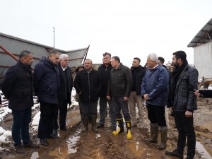 Başkan Savaş: "Hassa afet bölgesi ilan edilsin"