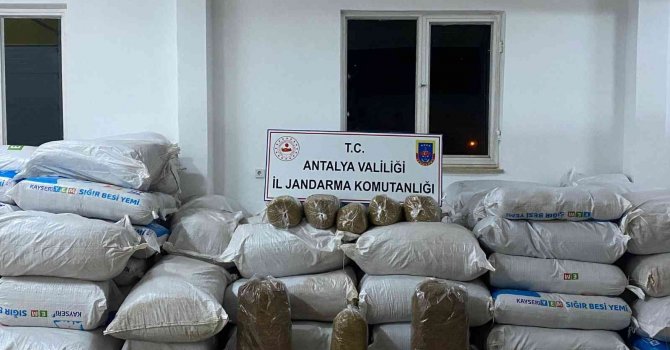 Antalya’da 113 yem çuvalı dolusu kaçak tütün ele geçirildi