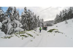 Soğuk havada karlı yollar yaban hayvanları için aşıldı