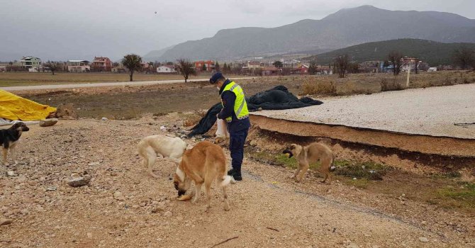 Kokuteli’de jandarmadan anlamlı davranış