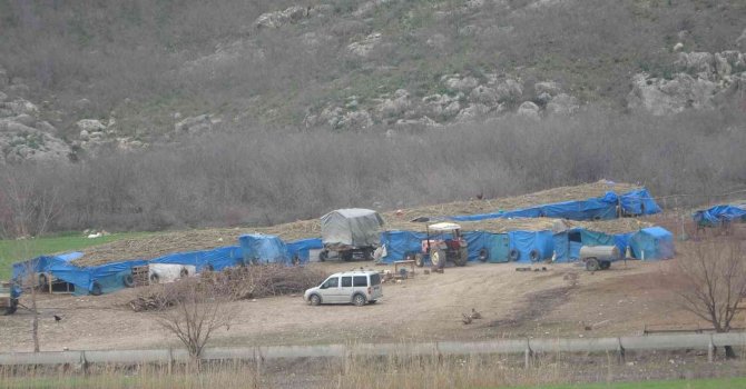 Koyunu kurtarmak isteyen çobanın feci ölümü