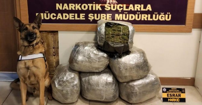 Osmaniye’de uyuşturucuyla yakalanan kamyon şoförü tutuklandı