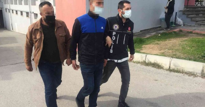 Kahve ve yağ ile korunan skunk narkotik köpeğinden geçemedi