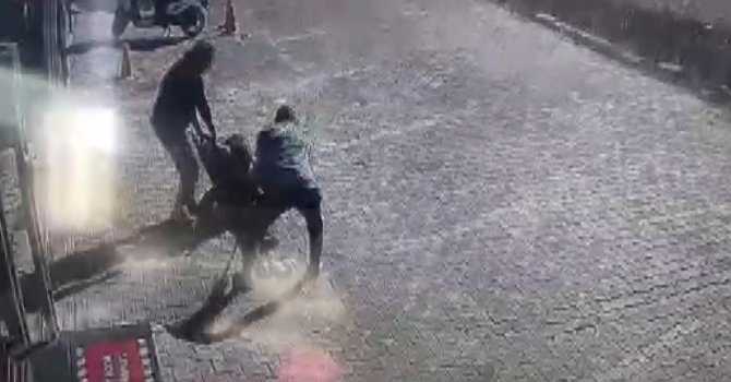 Antalya’da yasaklı cins sokak köpeği, genç kadın ve köpeğine dehşeti yaşattı