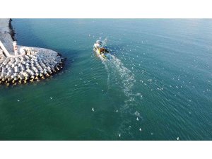 Balıkçılar denizde, martılar peşlerinde kısmetini arıyor