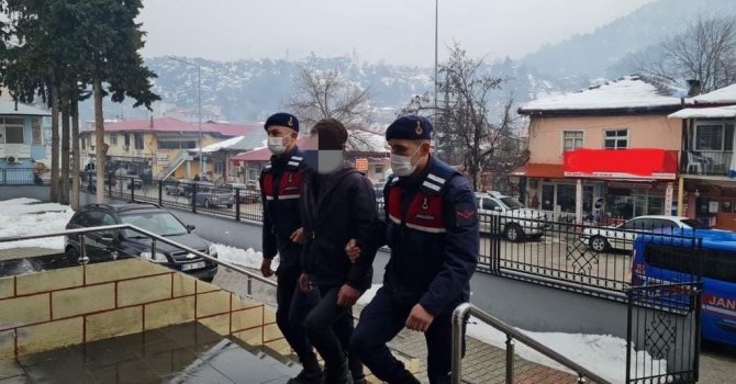 Kiralık araçla 45 koyunu çalan 4 şüpheli yakalandı