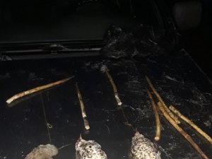 Koruma altındaki ökse ardıç kuşu avlayan şahsa 8 bin 709 lira ceza