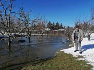 Eğirdirli elma üreticileri yağışlardan memnun