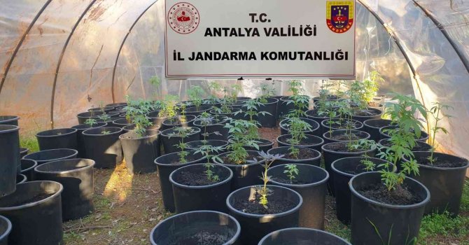 Antalya’da jandarmadan uyuşturucu serasına baskın
