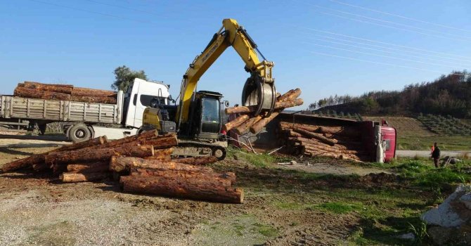 Yangın bölgesinde kesilen ağaçları taşıyan kamyon devrildi