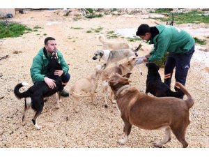 Mersin Büyükşehir Belediyesi gönüllü hayvanseverlerle ele ele