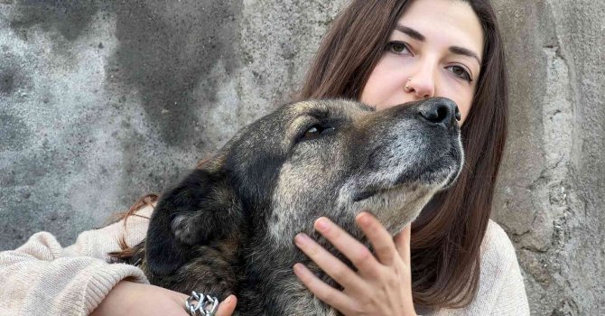Komşusunun kızına ve köpeğine ağaç dalıyla saldırdı
