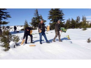 Mersin’de yaban hayvanları için doğaya 84 ton yem bırakıldı