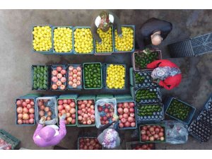 Mersin’den Avrupa’ya nar, limon ve avokado ihracatı