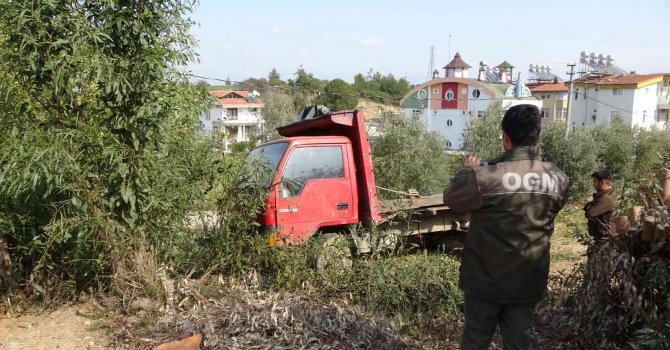 Ağaç katliamında kesilen ağaçları taşıyan kamyon önce güvenlik kameralarına. sonra jandarmaya yakalandı