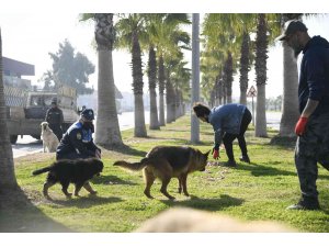 Adana’da sokak hayvanları unutulmadı
