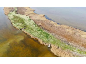 Adana’nın saklı cenneti: "Nergis Adası"