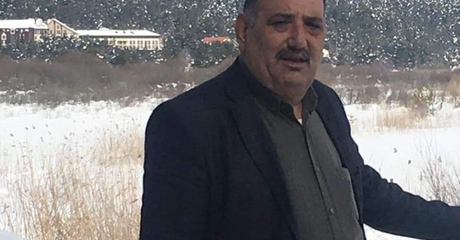 Manavgat’ta yabani inek ve 8 aylık yavrusunu telef ettiler