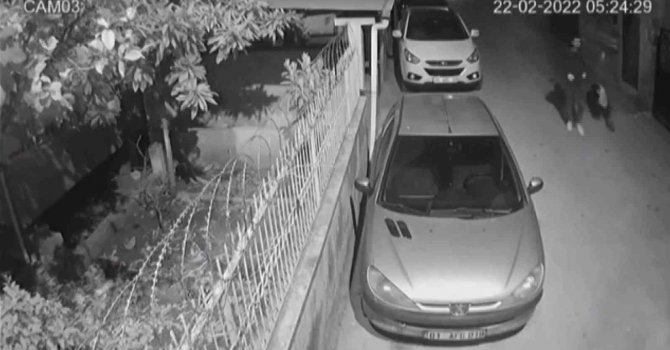 İnternet kablosu hırsızları kamerada