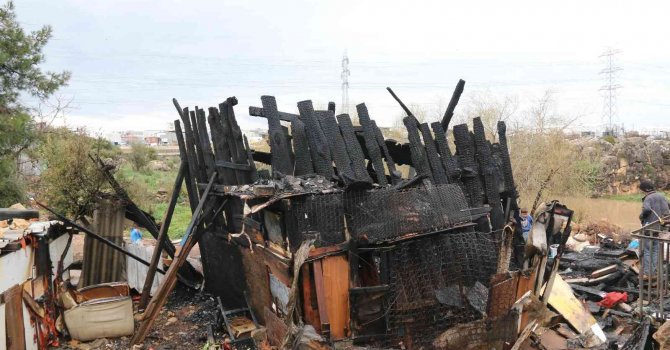 Antalya’da sobadan çıkan yangında baraka küle döndü