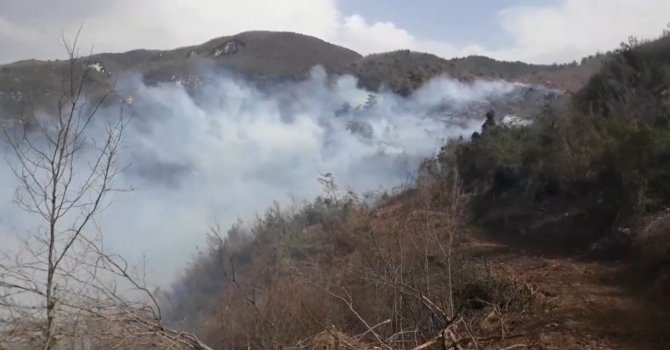 İskenderun’da orman yangını