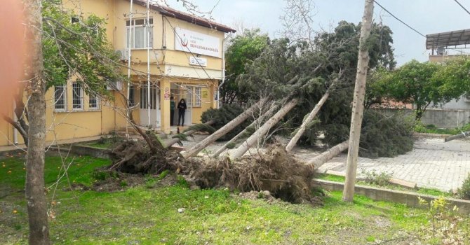 Hatay’da fırtına çatıları uçurdu ağaçları kökünden söktü