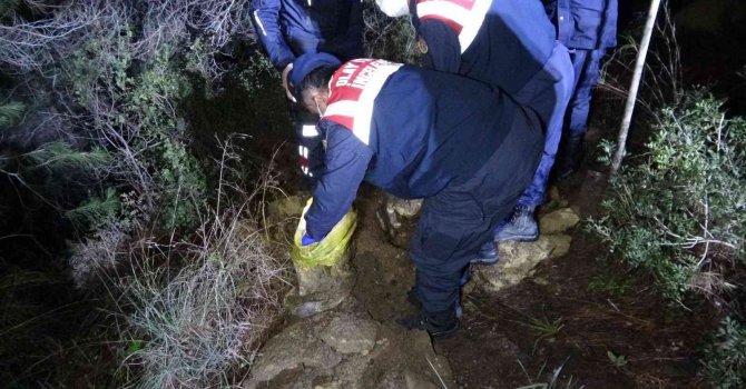 Mezarlık yakınındaki ormanlık alanda  ağzı bağlanmış köpek cesedi çıktı