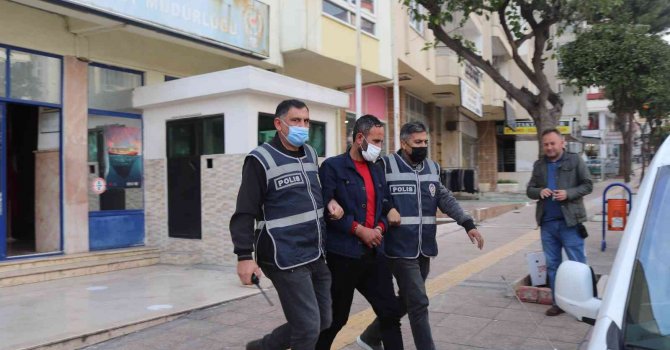 Muz ve avokado hırsızları yakalandı