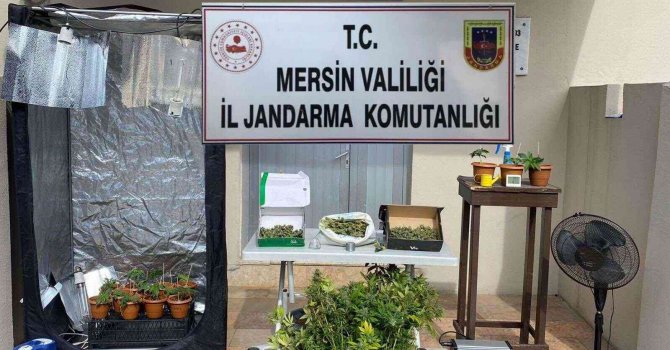 Evini uyuşturucu üretim tesisine çevirmiş
