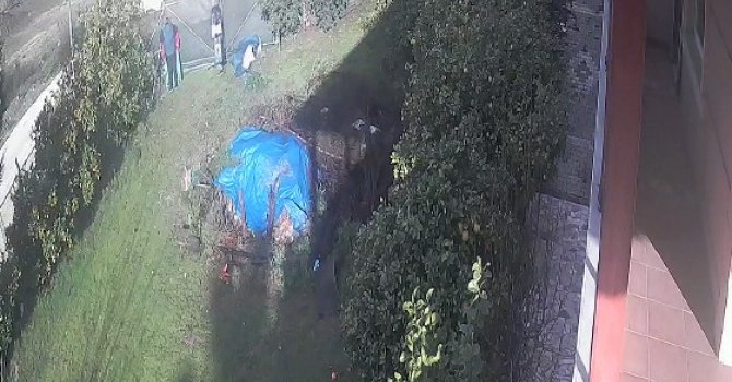 Hırsızlık anı kamerada