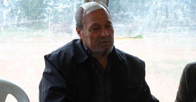 Antalya’da yaşlı kadın oğlunun fotoğrafı ve kuşları kurtarmak isterken yanarak öldü