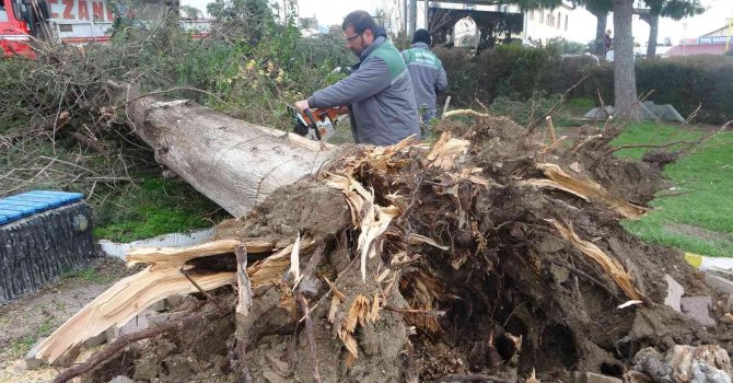 Antalya’da hortumun vurduğu mahallede dehşet gün ağarınca ortaya çıktı
