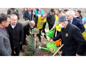Osmaniye’de Güney Kore-Türkiye Dostluk Ormanı kuruldu