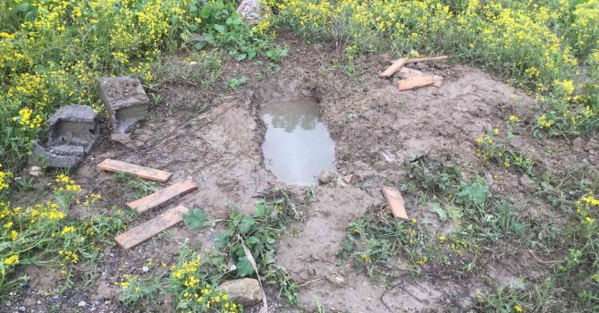 Mezarlığa gömülmüş cenin bulundu