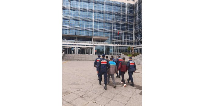 Meyve bahçelerinden hırsızlık yapan 4 kişi tutuklandı