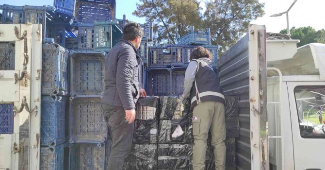 Meyve-sebze kasası taşıyan kamyondan 17 bin 450 paket kaçak sigara çıktı